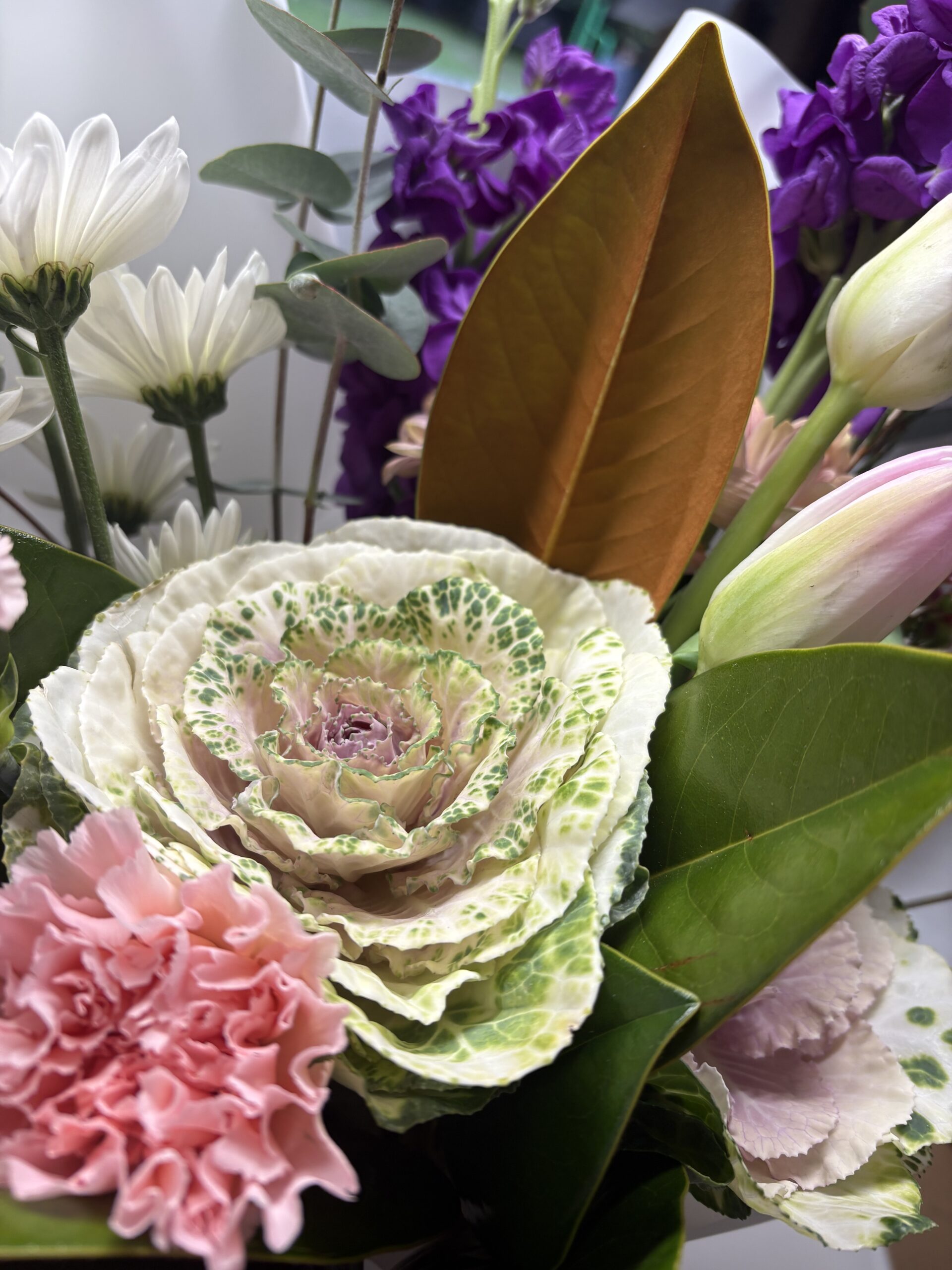 Best Flowers to Gift in Summer on the South Coast